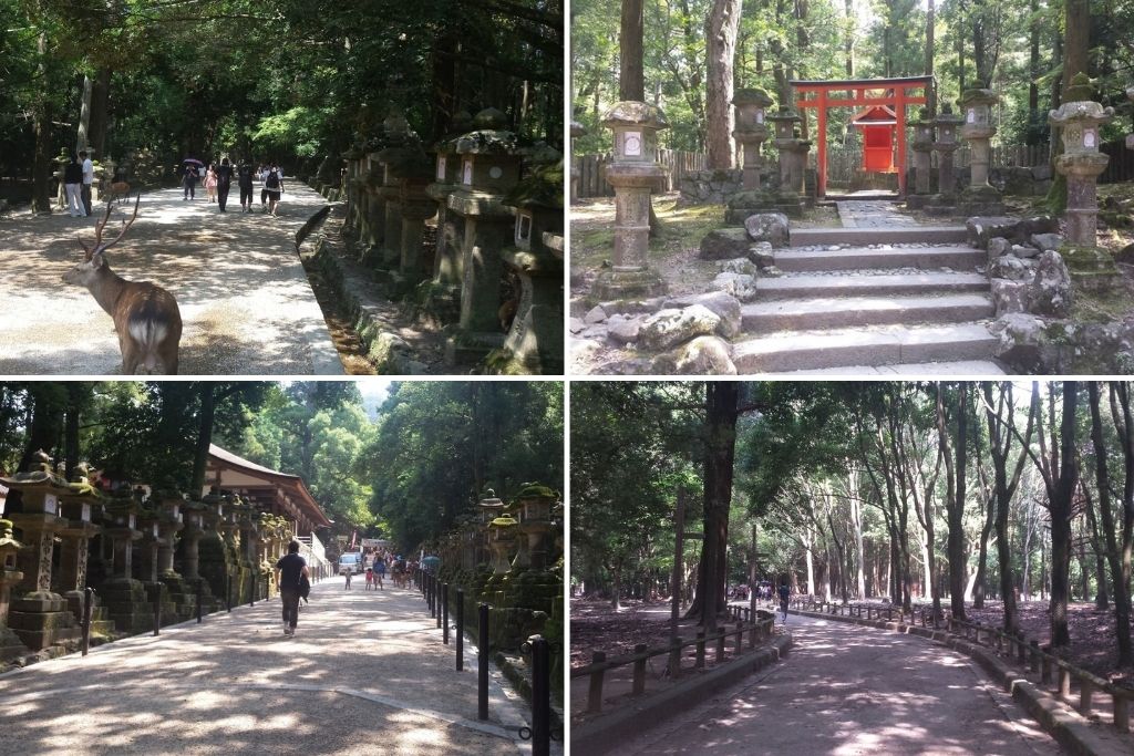 Kasuga Taisha Shrine