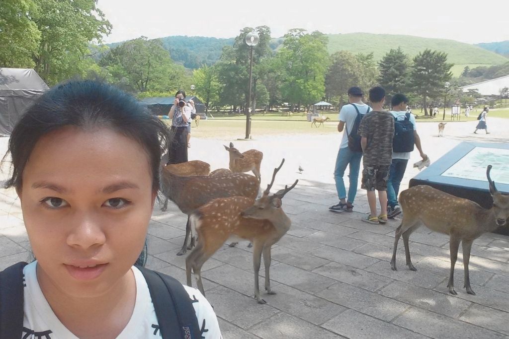 Nara Park