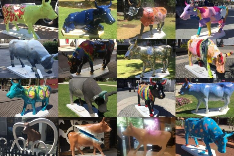 COW PARADE PERTH: A LIFE-SIZED ART EXHIBIT