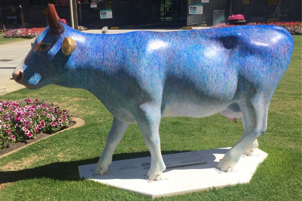 Cow Parade Perth: 14